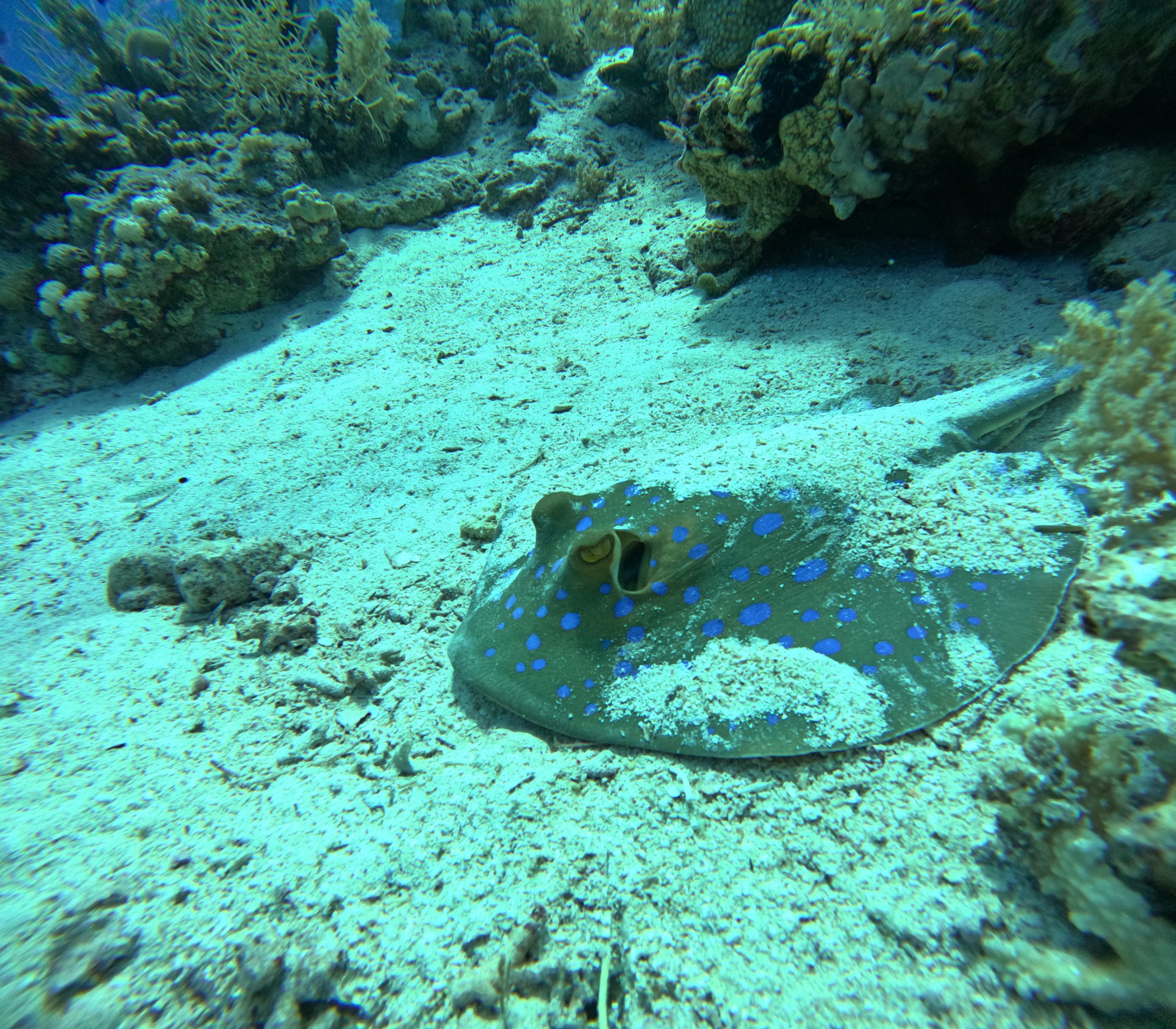GOPR0257