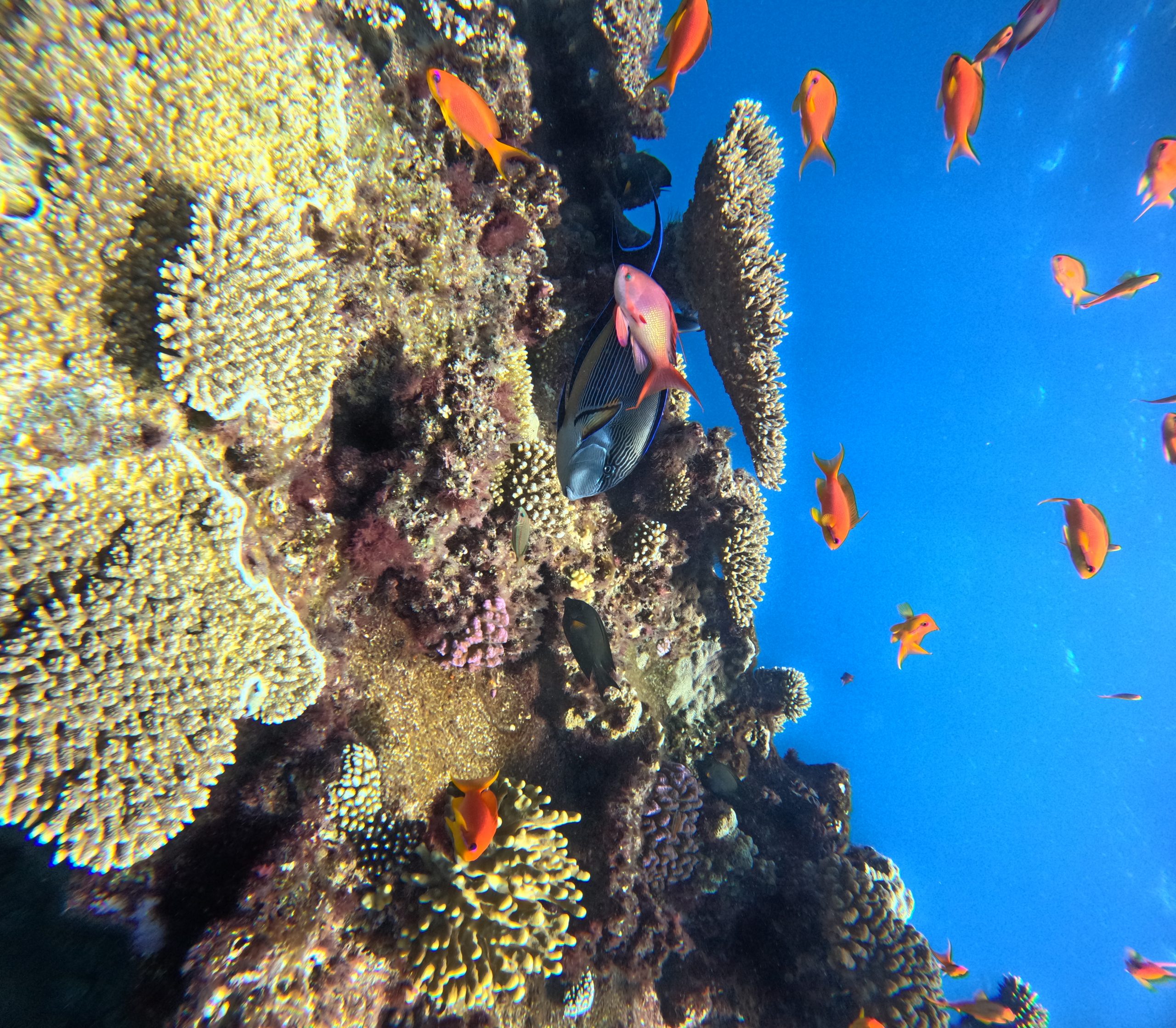 GOPR0353