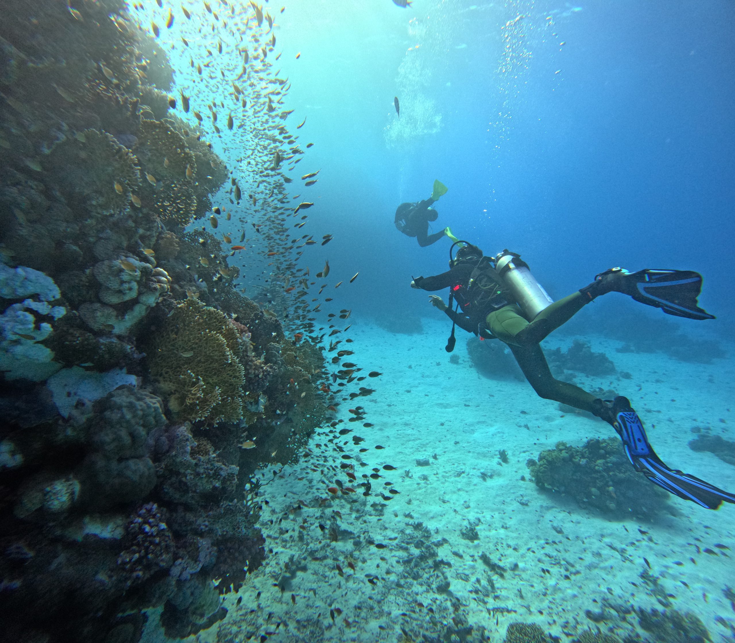 GOPR0515
