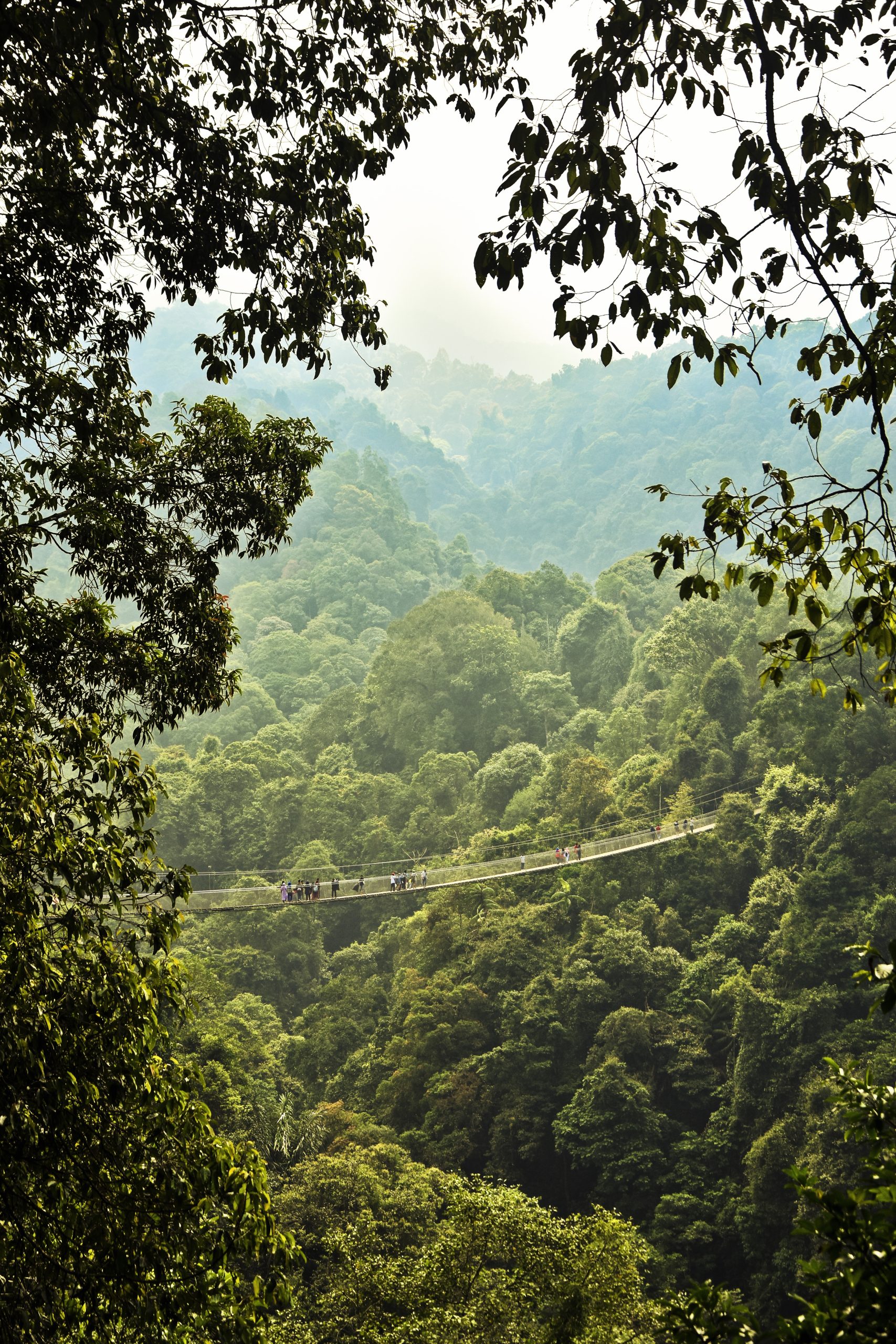 bridge-7178826