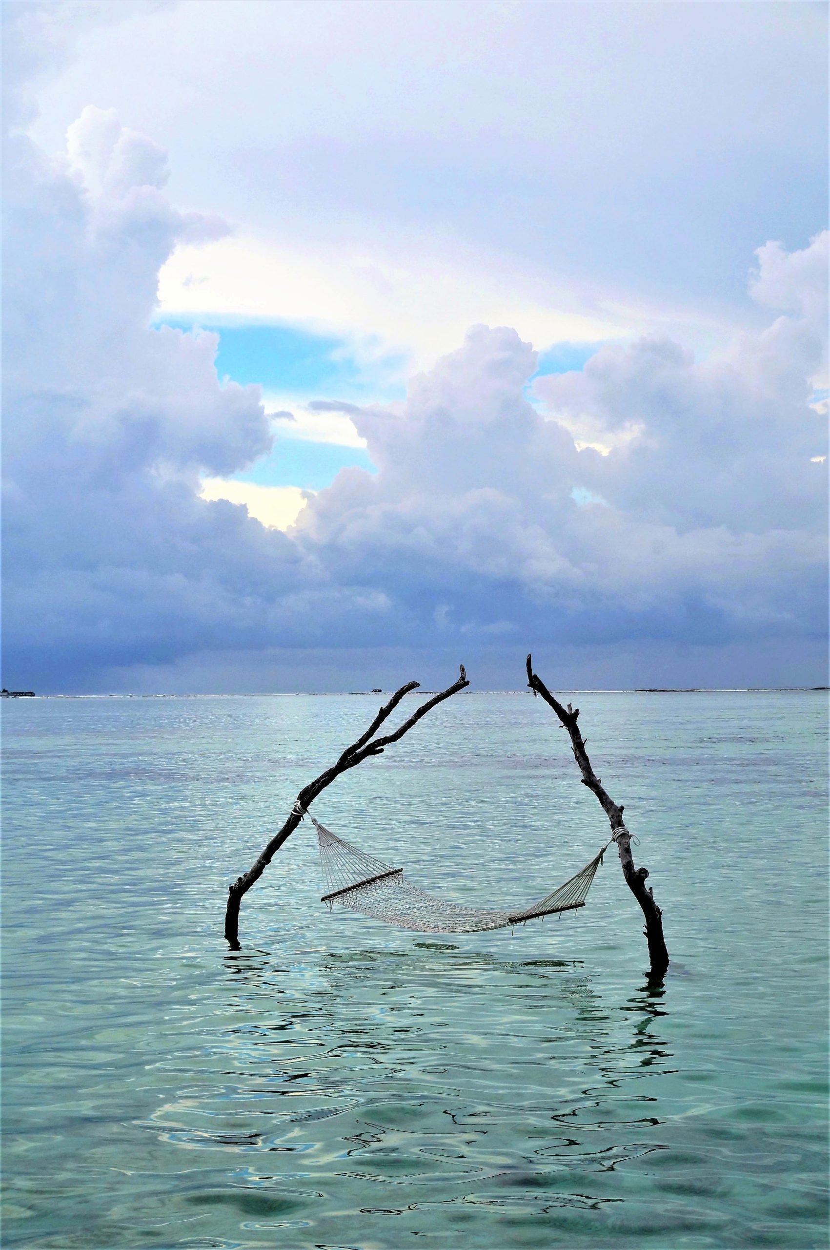 hammock-4709227